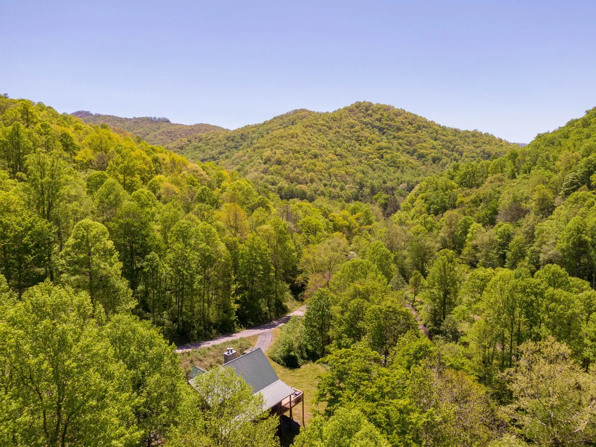 A panoramic view of lush green forests, rolling hills, and distant mountains under a vast sky, with a winding road and a house roof peeking through the trees. The scene conveys a sense of adventure and the natural beauty of the region surrounding Roaring Creek Lodge.