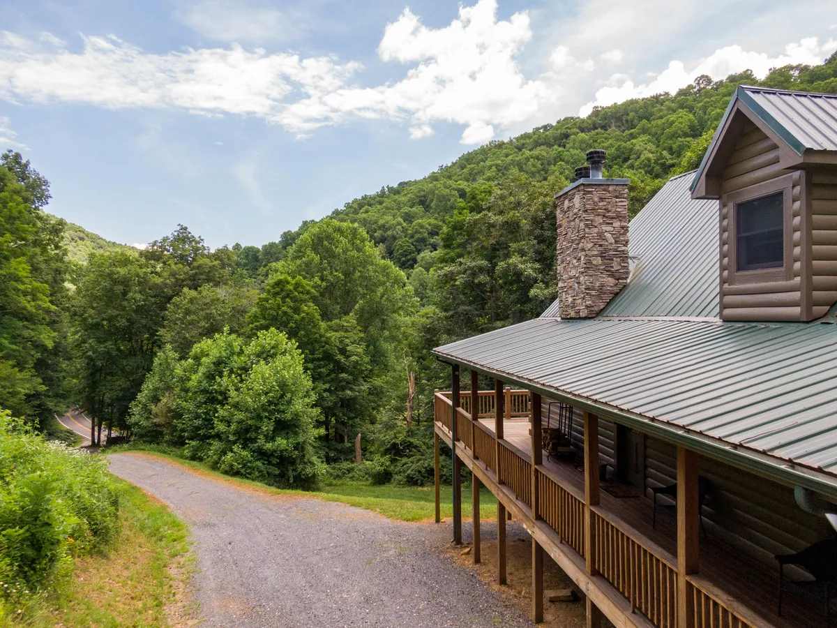 A wide view of the log cabin nestled in lush greenery, with a winding gravel path leading into the woods. The surrounding landscape suggests adventure, trails, and plenty of room for dogs and families to explore together.